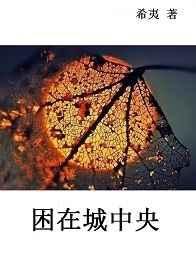 ���ڳ�����