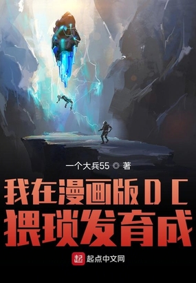 ����������DC�������