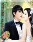 绝情总裁VS柔情新娘